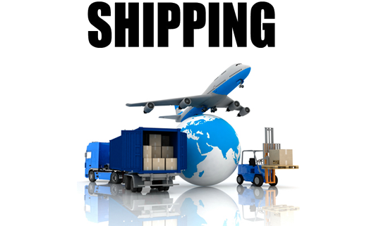 Free Shipping